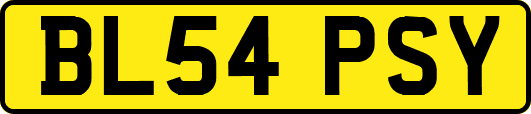 BL54PSY
