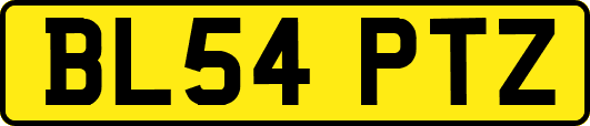 BL54PTZ