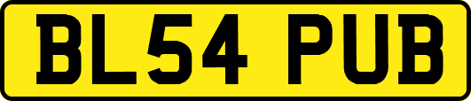 BL54PUB