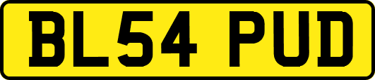 BL54PUD