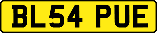 BL54PUE