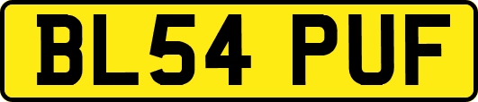BL54PUF