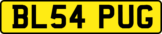 BL54PUG