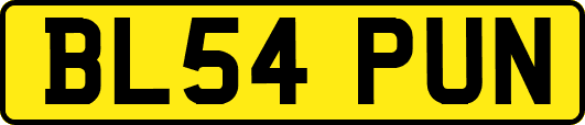 BL54PUN