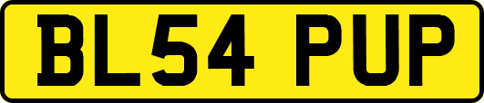 BL54PUP