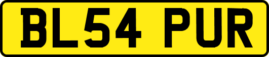 BL54PUR