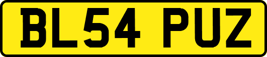 BL54PUZ