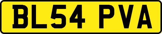 BL54PVA