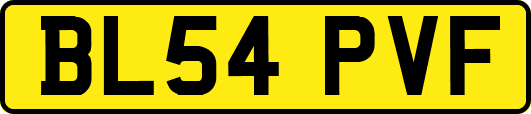 BL54PVF