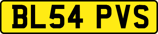 BL54PVS