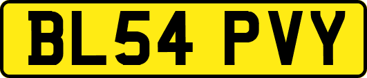 BL54PVY