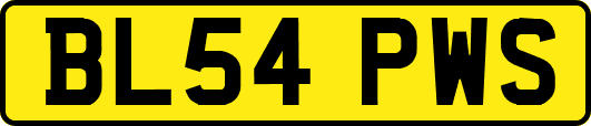 BL54PWS