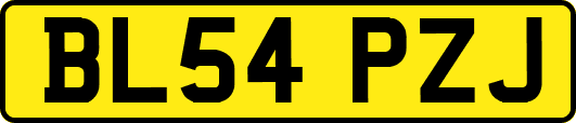 BL54PZJ