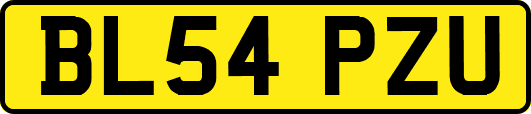 BL54PZU