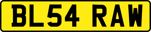 BL54RAW