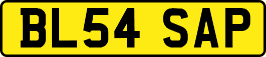 BL54SAP