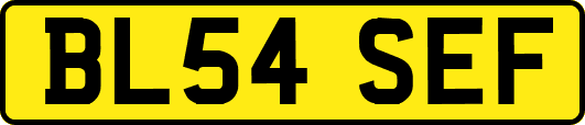 BL54SEF