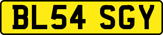 BL54SGY
