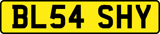 BL54SHY
