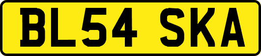 BL54SKA