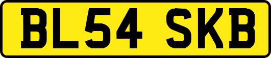 BL54SKB
