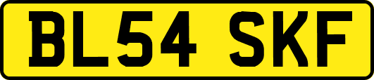 BL54SKF