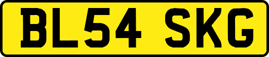BL54SKG