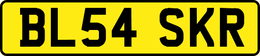 BL54SKR