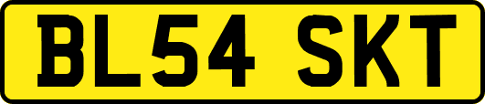 BL54SKT