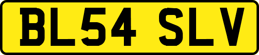 BL54SLV