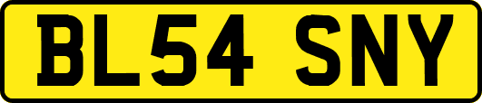 BL54SNY