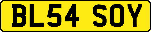 BL54SOY