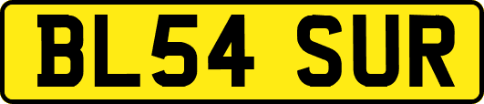 BL54SUR
