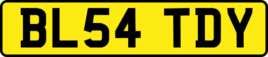 BL54TDY