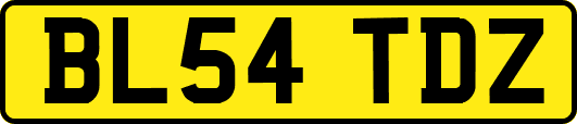 BL54TDZ