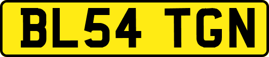 BL54TGN