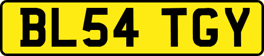 BL54TGY
