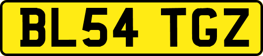BL54TGZ