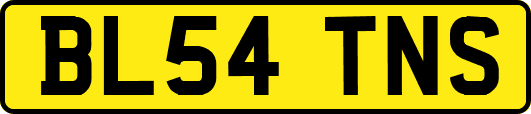 BL54TNS