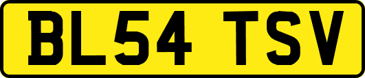 BL54TSV