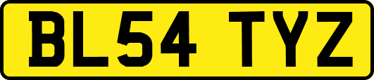 BL54TYZ