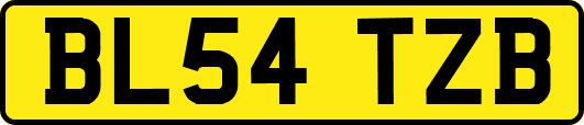 BL54TZB