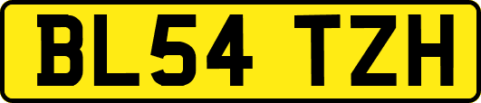 BL54TZH