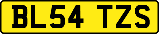 BL54TZS