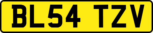 BL54TZV