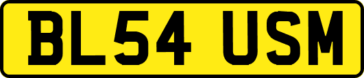 BL54USM