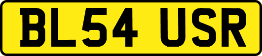 BL54USR