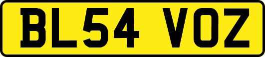 BL54VOZ