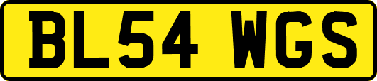BL54WGS