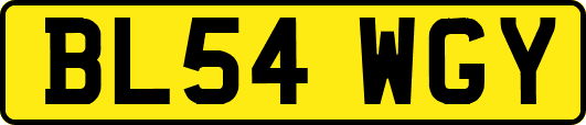 BL54WGY